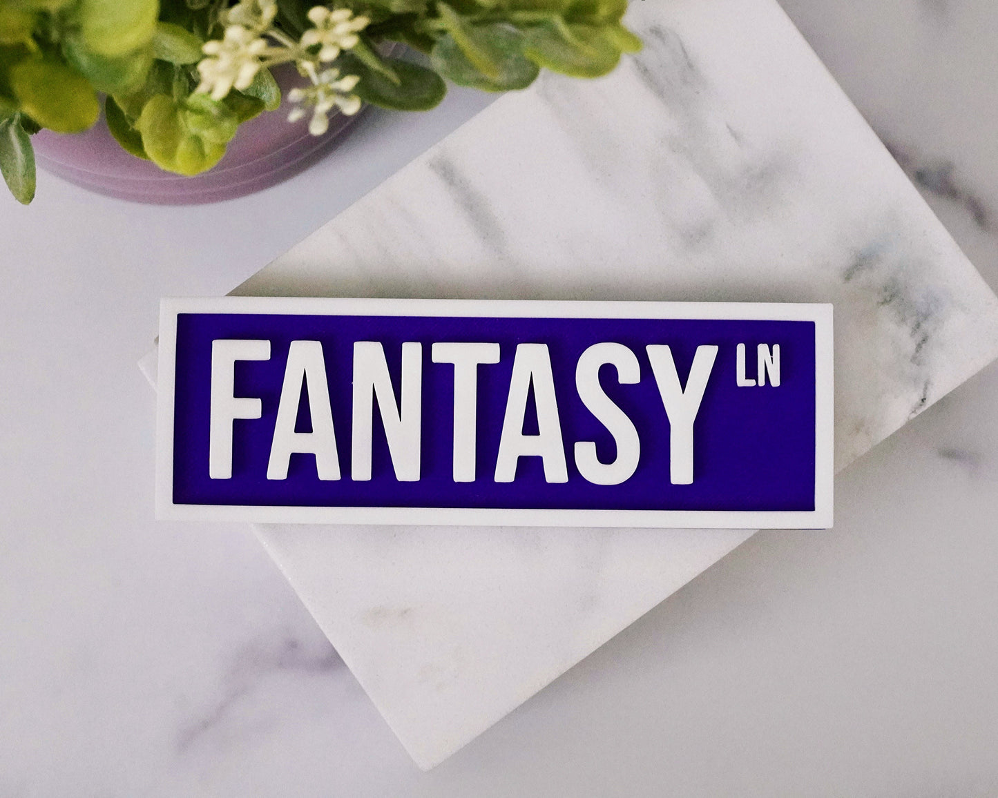 Fantasy Ln. Street Sign